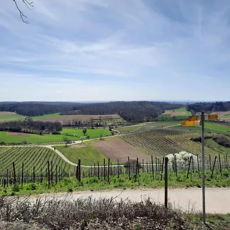 Pflaumers アパート *