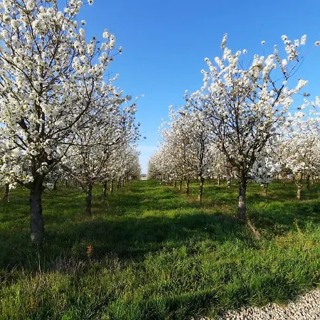 Pflaumers エッピンゲン