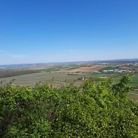 Pflaumers アパート エッピンゲン