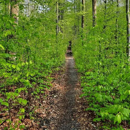 Pflaumers アパート