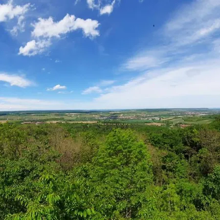 Pflaumers アパート *