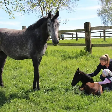 Pflaumers * Eppingen