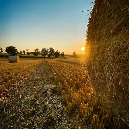 Pflaumers アパート エッピンゲン