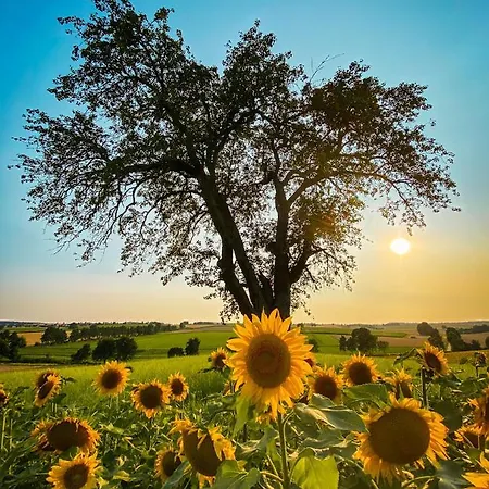 Pflaumers * エッピンゲン