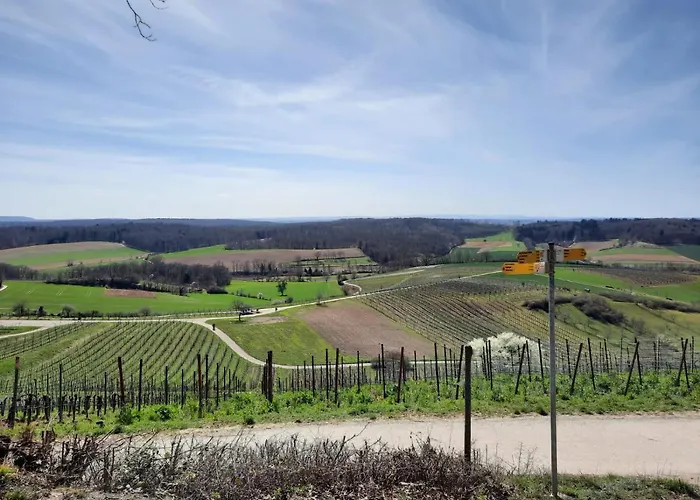 Pflaumers Appartement *