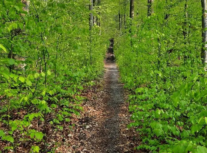 Pflaumers Appartement