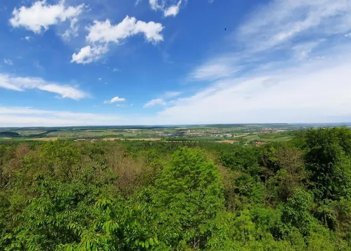 Pflaumers Appartement *