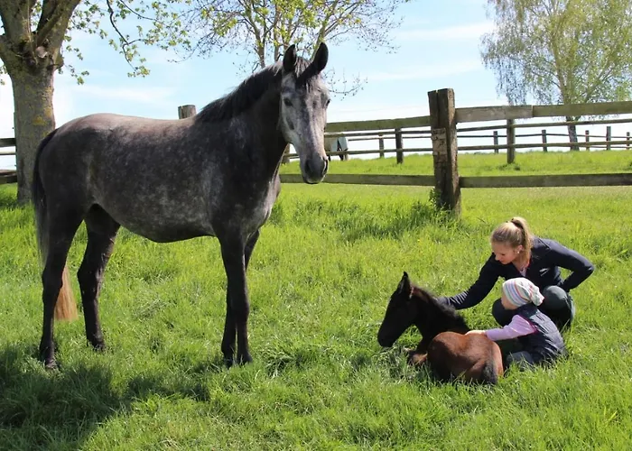 Pflaumers * Eppingen