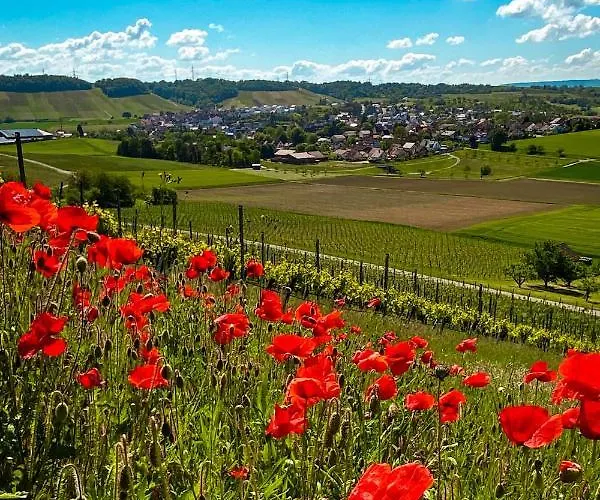 Pflaumers * Eppingen