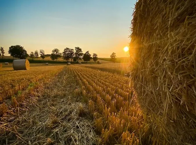 Pflaumers Appartement Eppingen