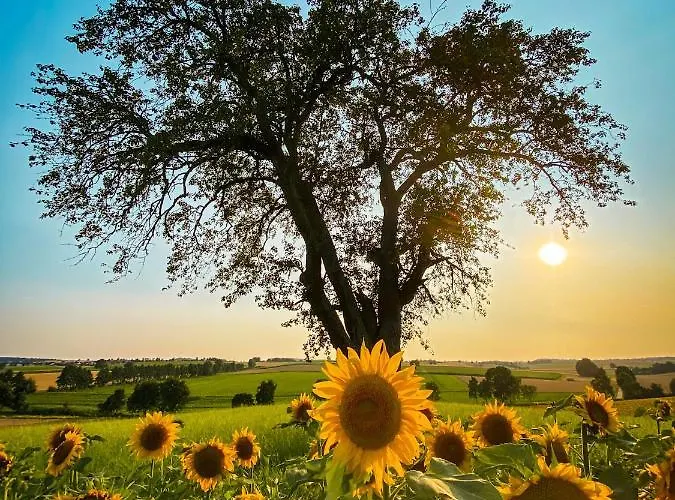 Pflaumers * Eppingen